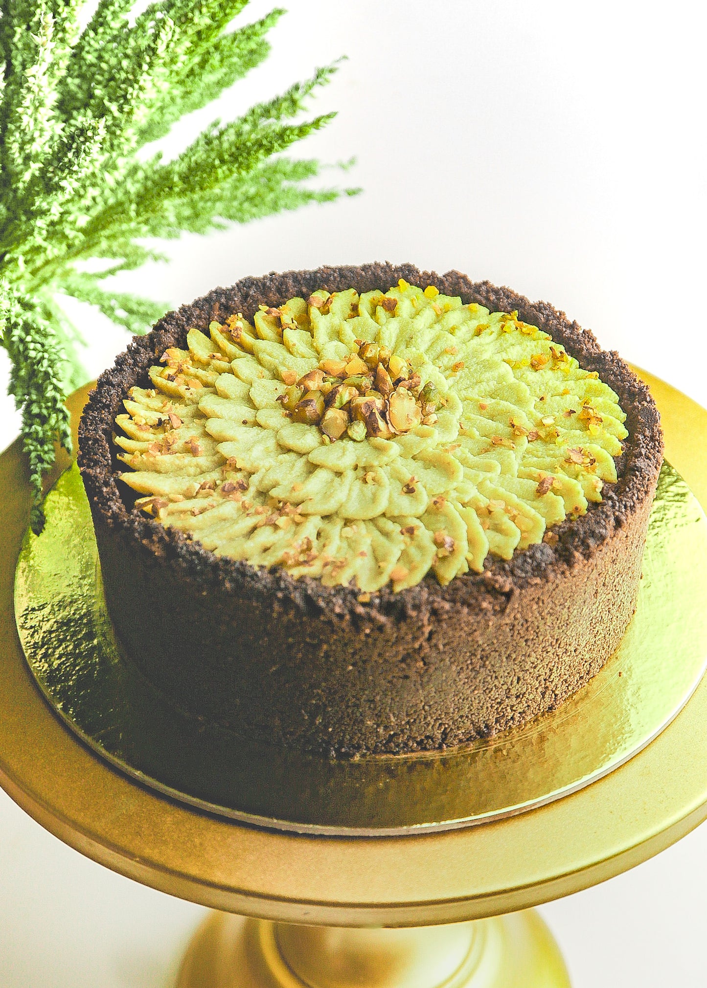 Dark Chocolate Pistachio Cake