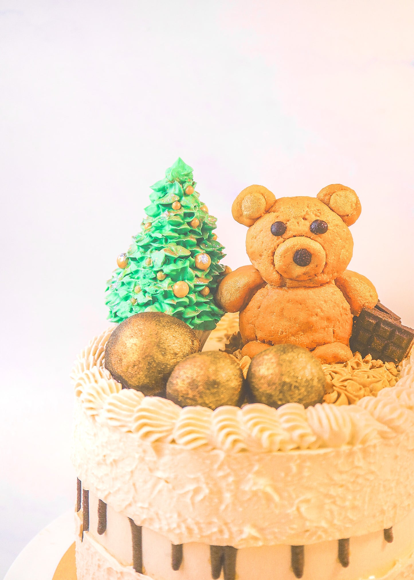 Teddy's Christmas Tree: Dates Mocha Chocolate Cake 6"x5" (Pre-order for December)