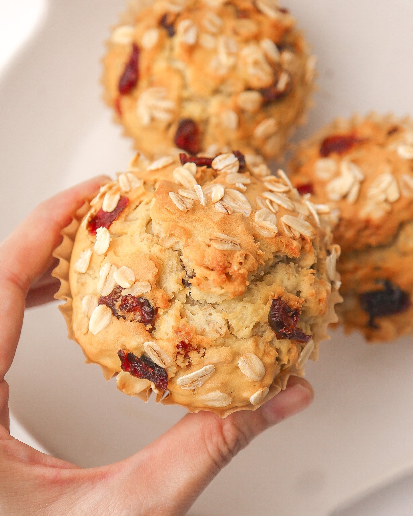 Cranberry Oatmeal Muffins