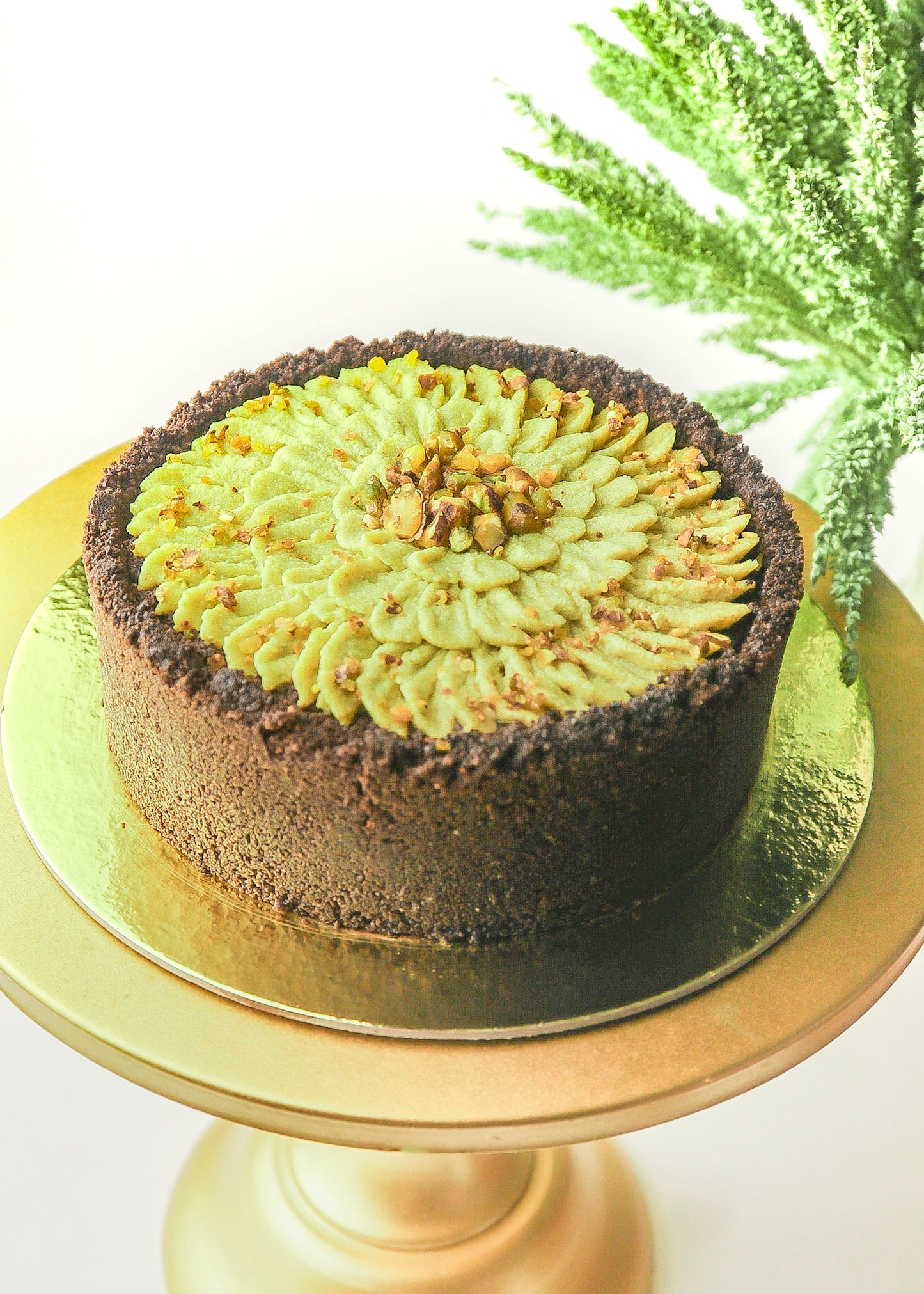 Dark Chocolate Pistachio Cake (Plant-based, Sugar-free, Gluten-free)