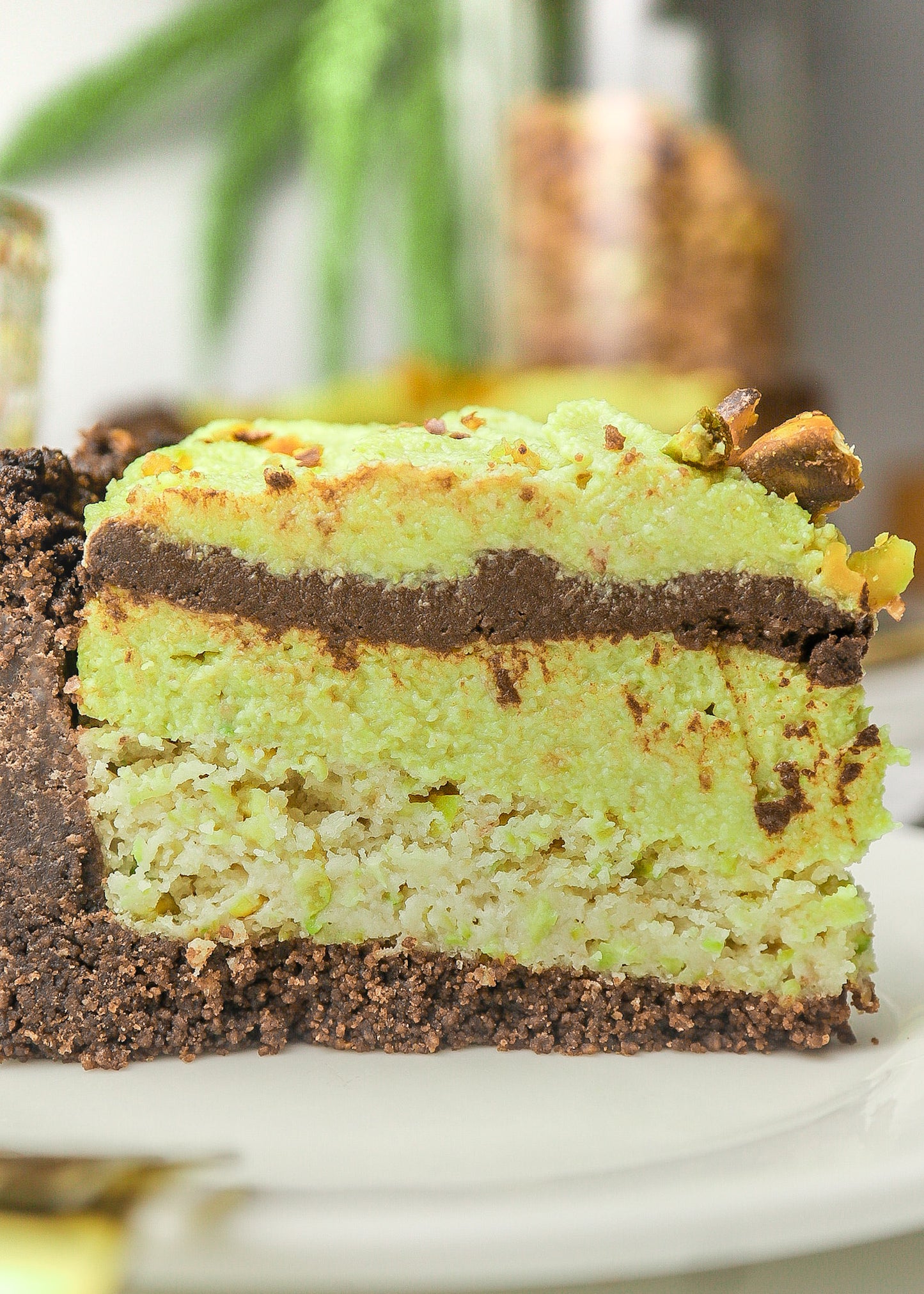 Dark Chocolate Pistachio Cake (Plant-based, Sugar-free, Gluten-free)
